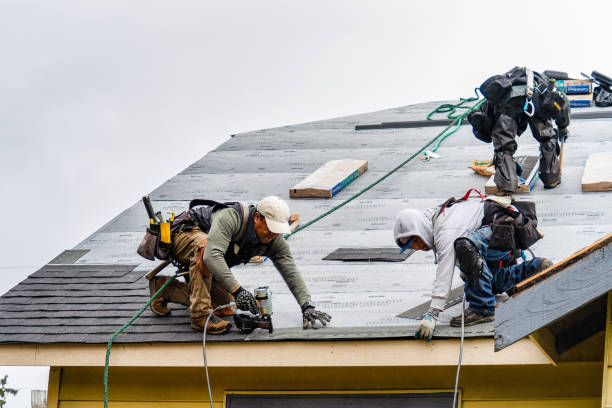 Professional Roofing technician working in Stanwood, IA